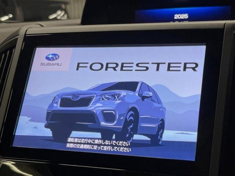 FORESTER