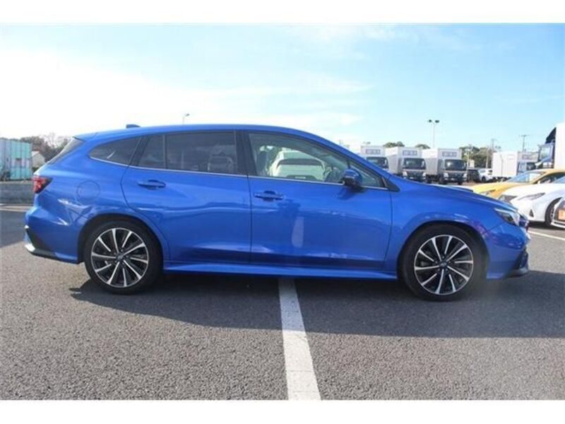 LEVORG