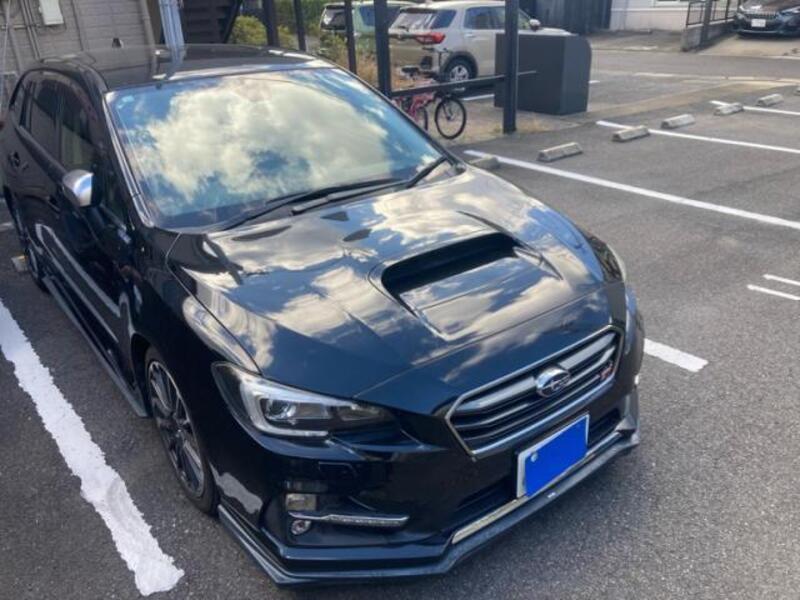 LEVORG