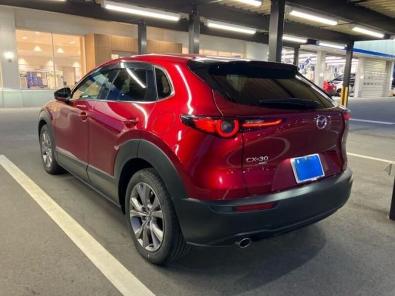 CX-30