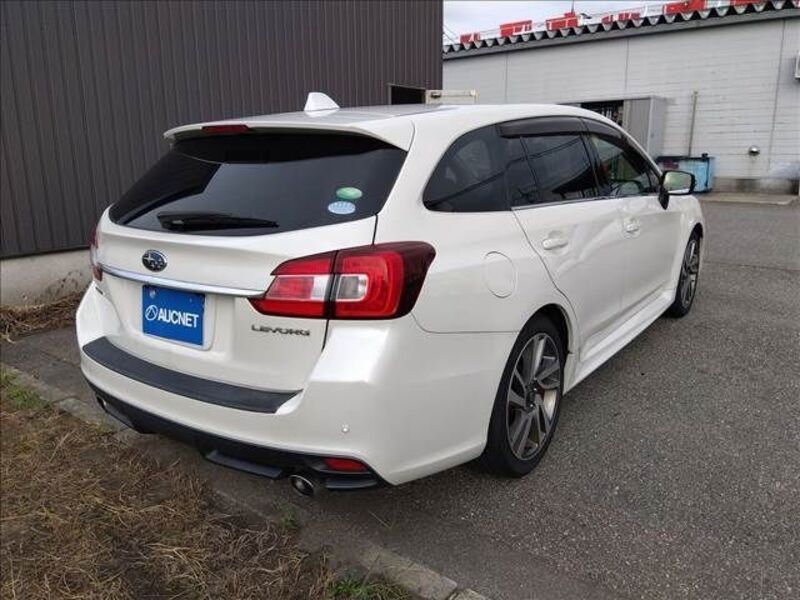 LEVORG