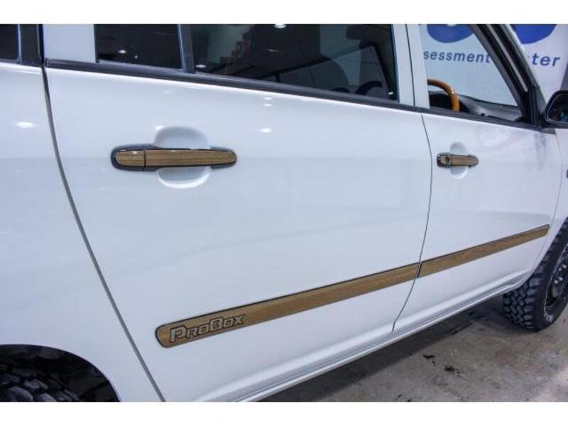 PROBOX VAN