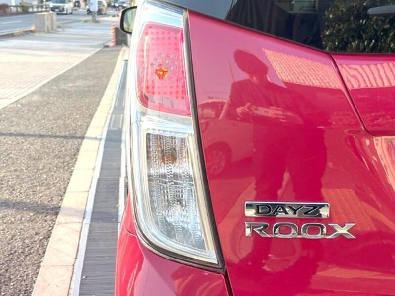 DAYZ ROOX