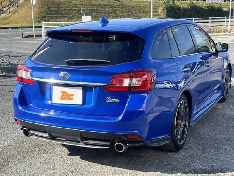 LEVORG