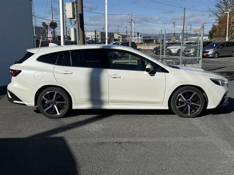 LEVORG
