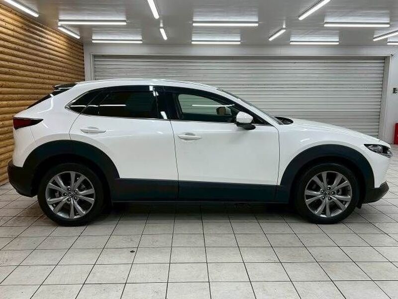 CX-30