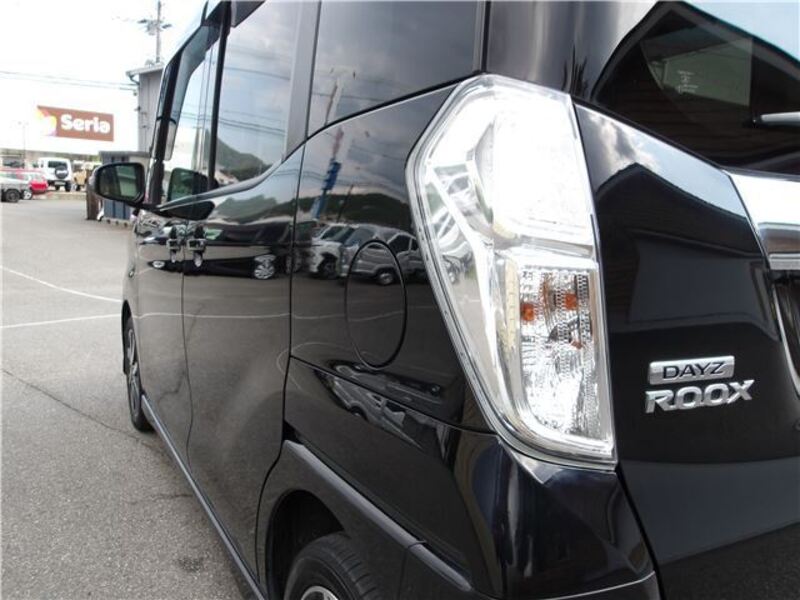 DAYZ ROOX