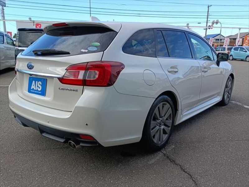 LEVORG