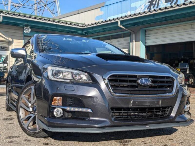 LEVORG