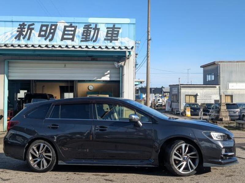 LEVORG