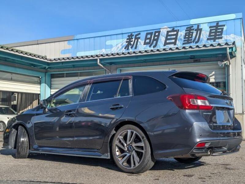 LEVORG