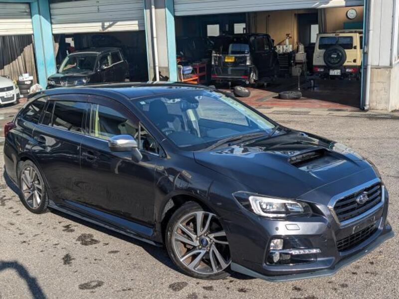 LEVORG