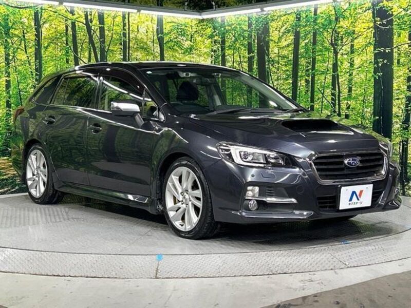 LEVORG