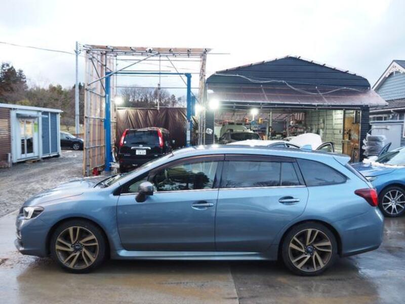LEVORG