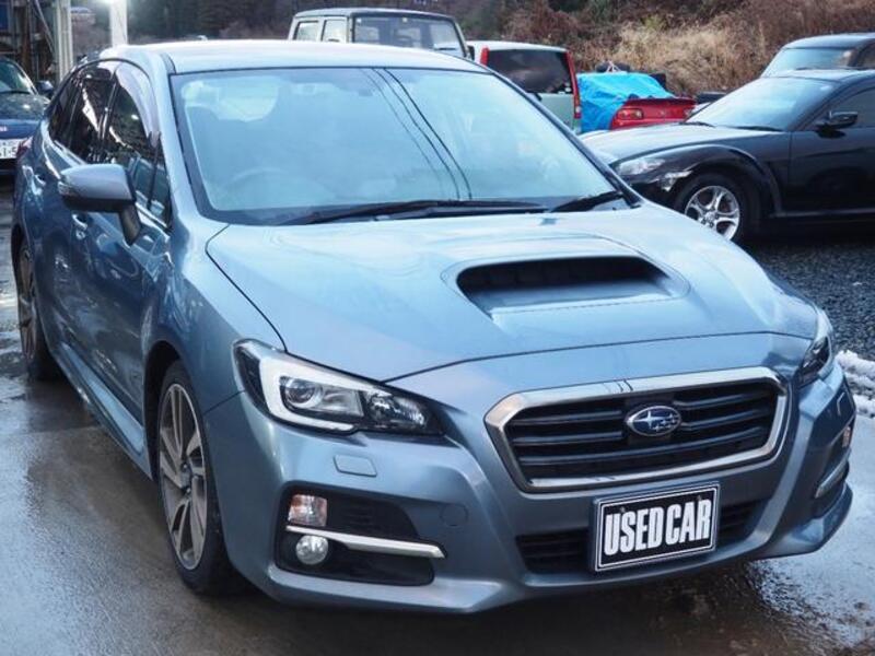 LEVORG
