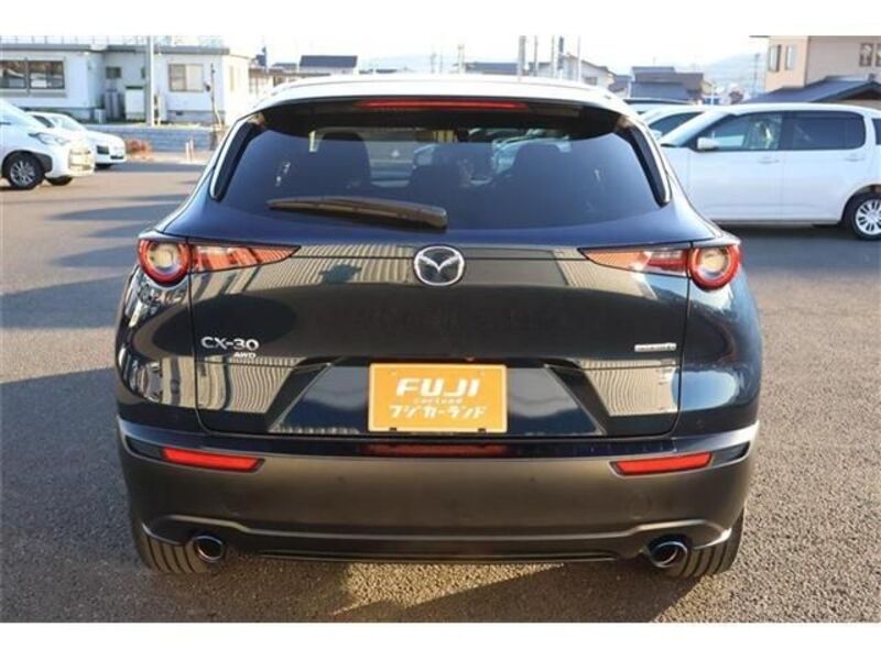 CX-30