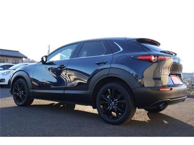 CX-30