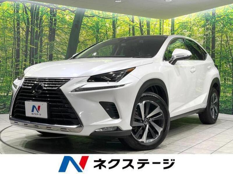 LEXUS NX