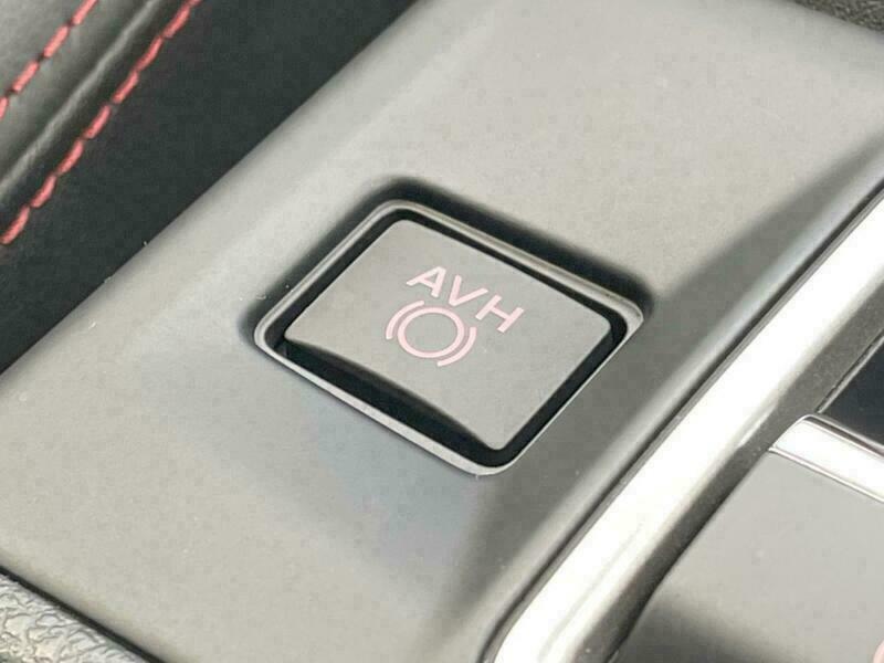LEVORG-19