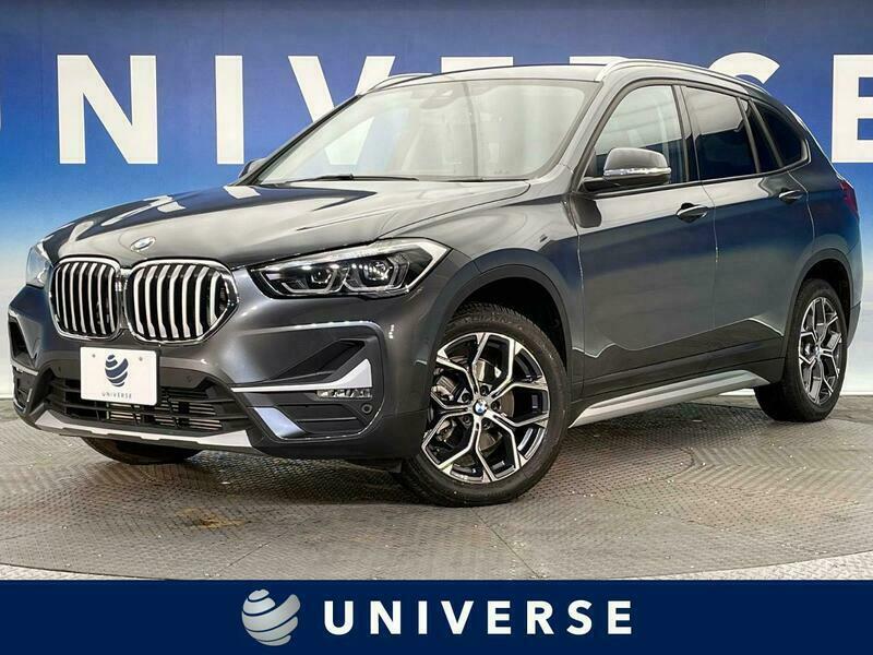 X1-19