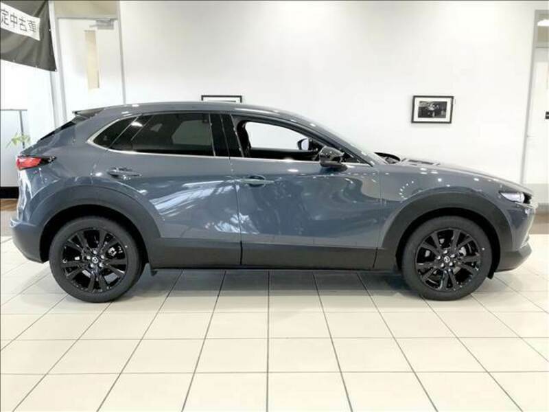 CX-30