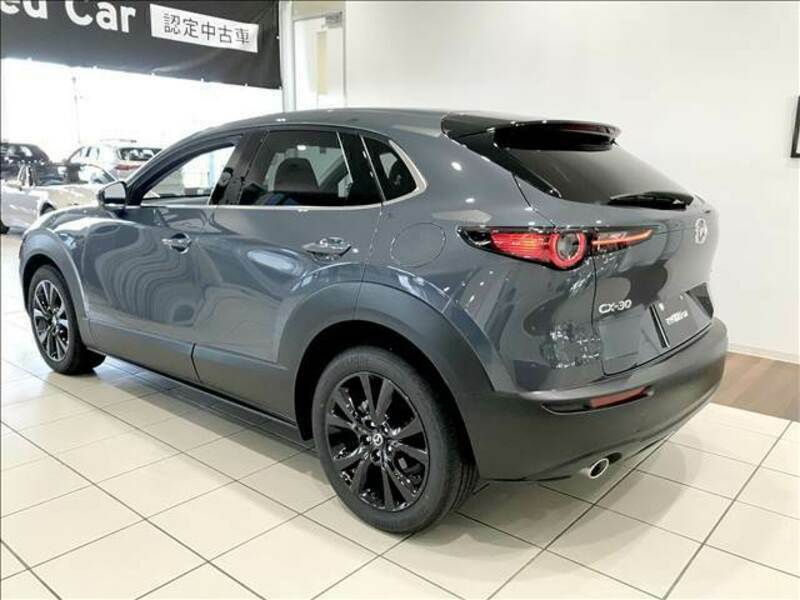 CX-30