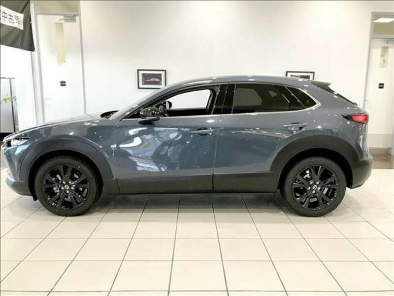 CX-30
