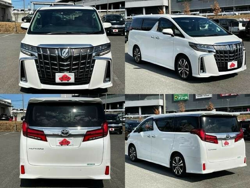 ALPHARD-8