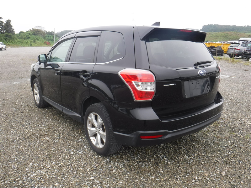 FORESTER-6