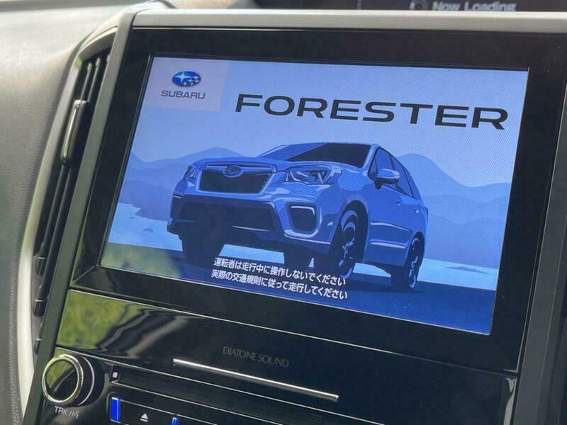 FORESTER