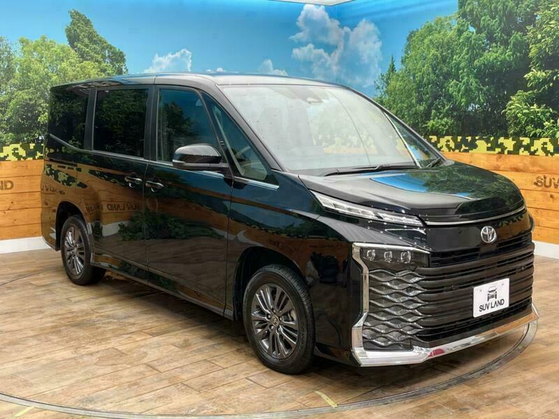 VOXY-17