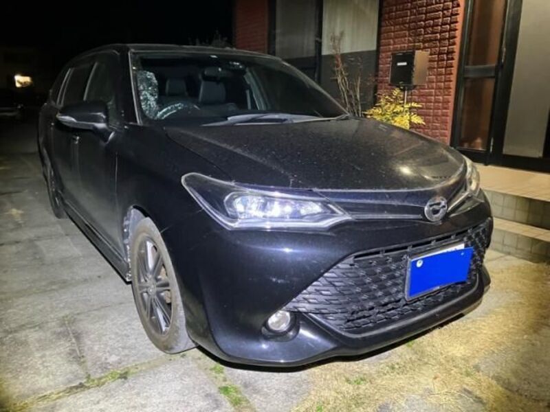 TOYOTA COROLLA FIELDER