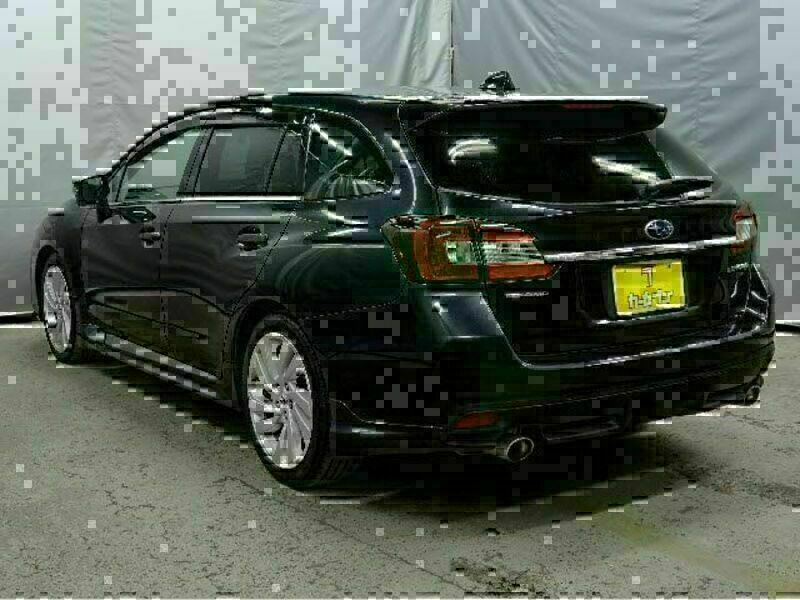 LEVORG