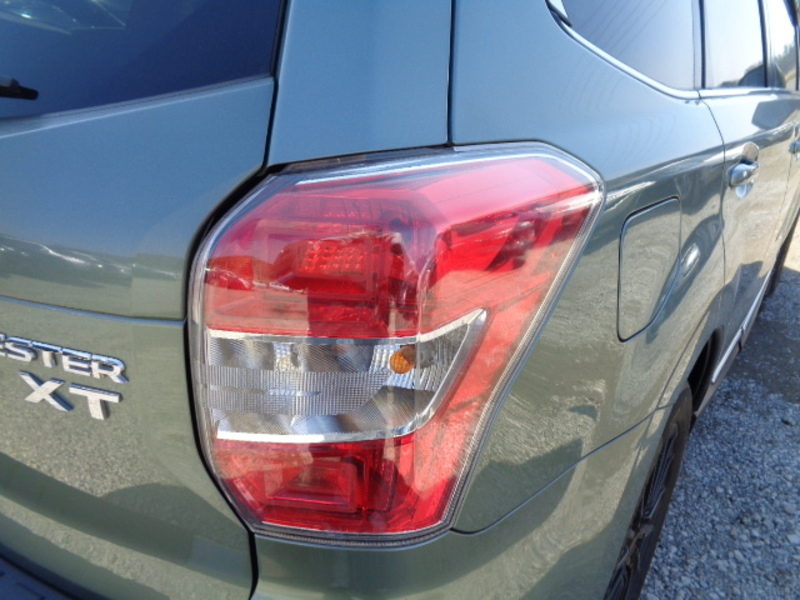 FORESTER