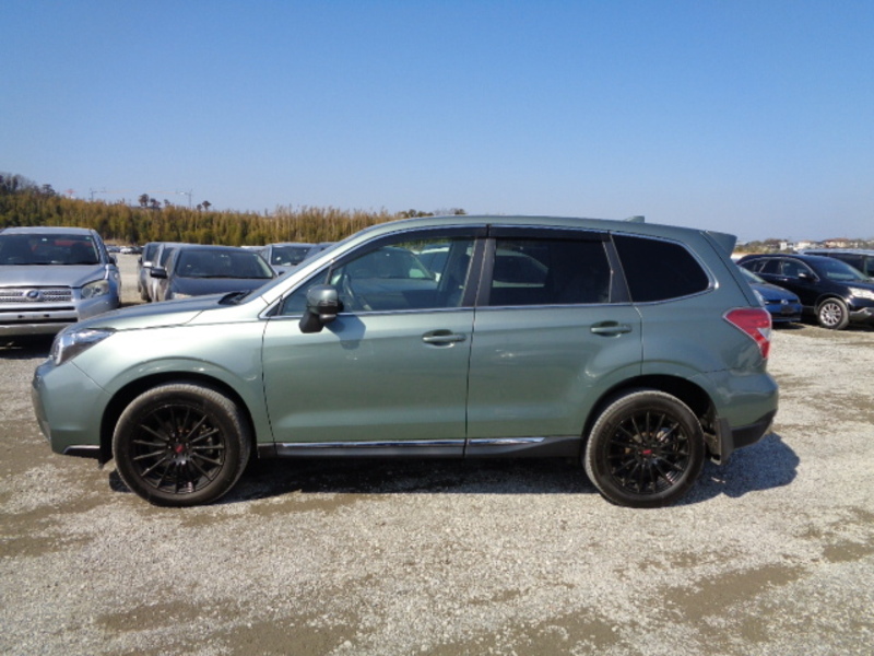 FORESTER