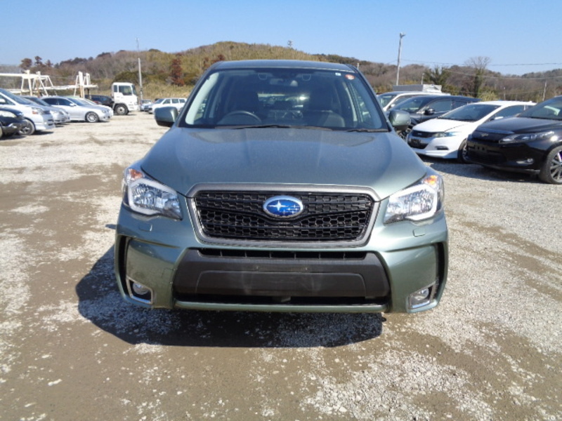 FORESTER