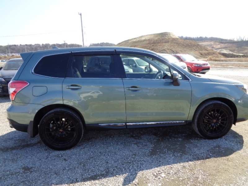 FORESTER