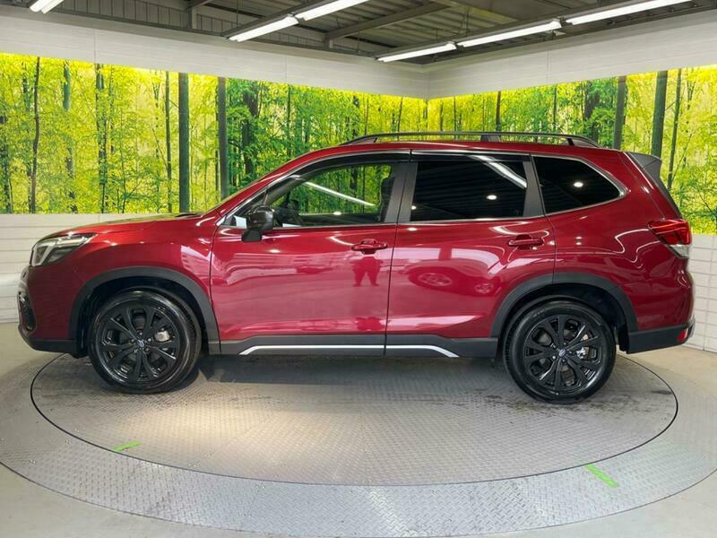 FORESTER