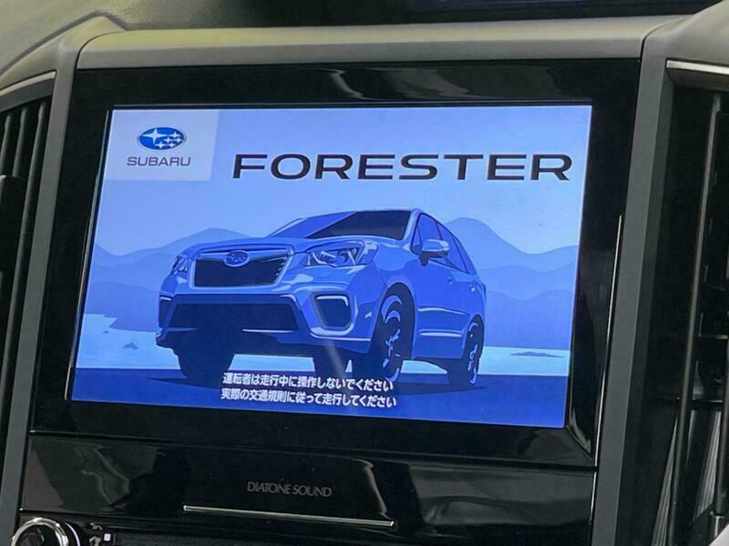 FORESTER