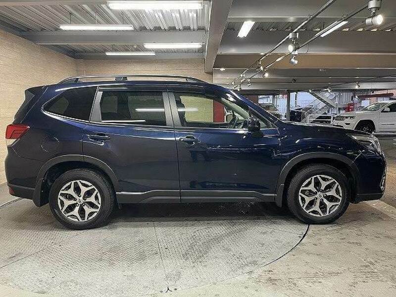 FORESTER