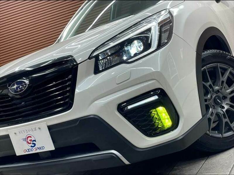 FORESTER-9