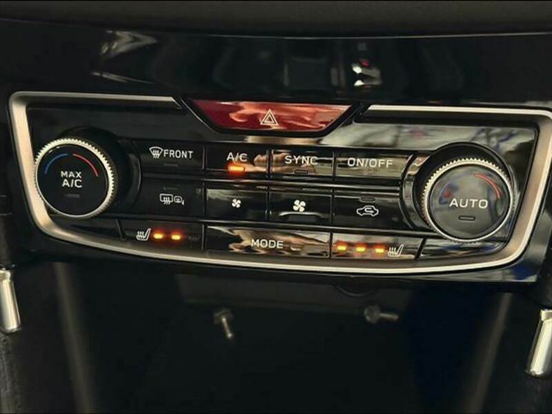 FORESTER-11
