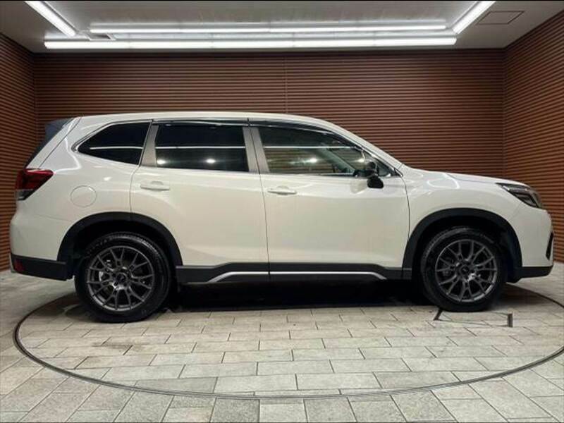 FORESTER-17