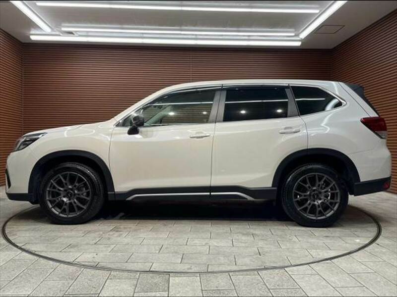 FORESTER-18