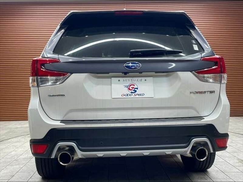 FORESTER-19