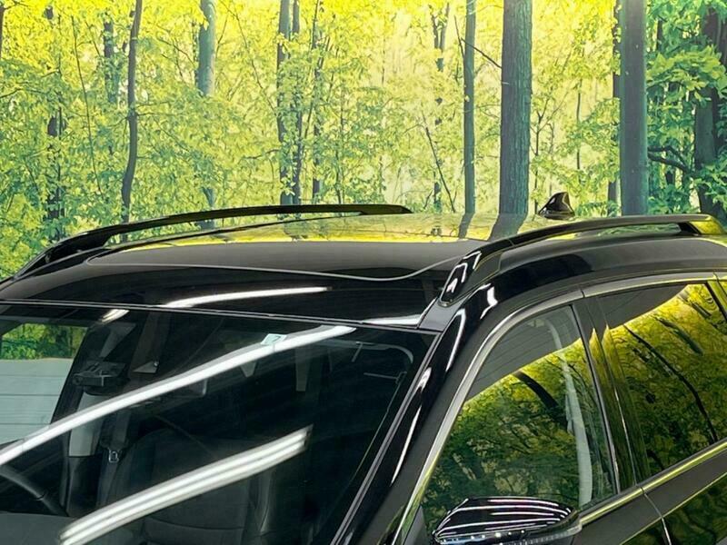 X-TRAIL-38