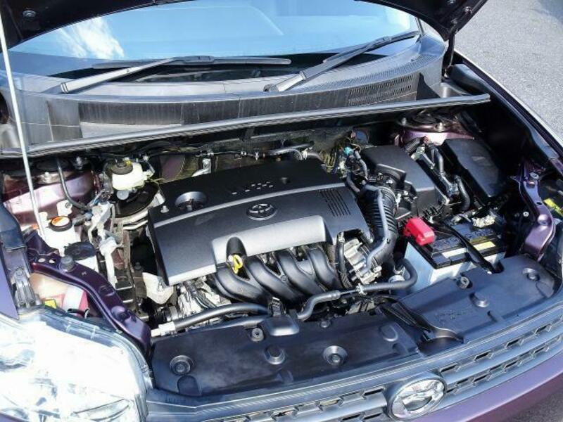 COROLLA RUMION