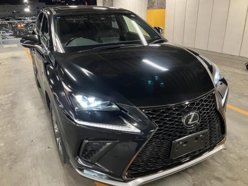 LEXUS NX