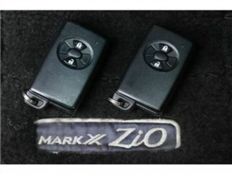 MARK X ZIO-20