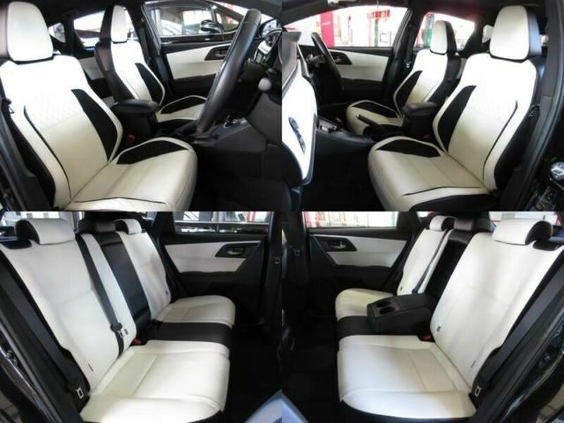 AURIS